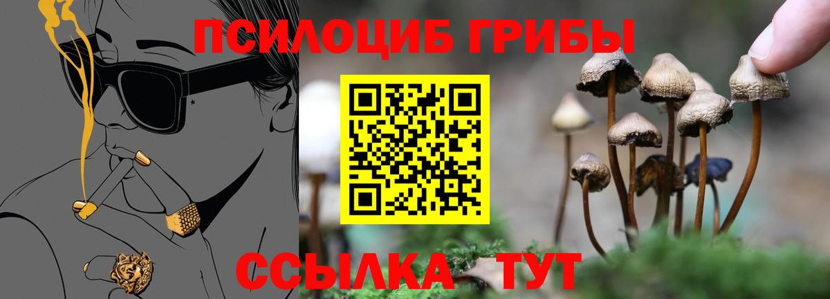 Псилоцибиновые грибы GOLDEN TEACHER Бугуруслан